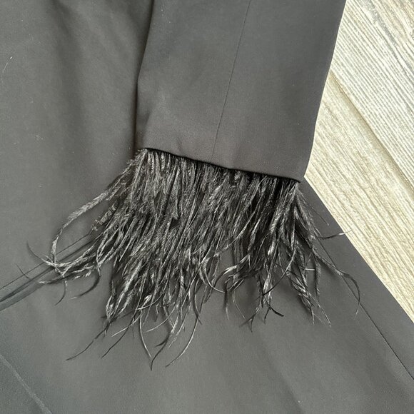 WAYF Jordan Shane Blazer Womens L Black Long Ostrich Feathers Button Oversized - Picture 2 of 9